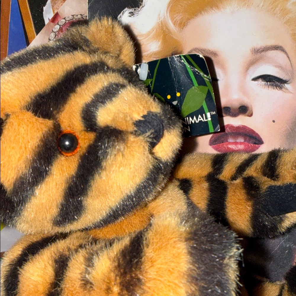🖤🧸•🐆Vermont Teddy Bear x TigerBear x Lily Vibes 🐆•🖤🧸